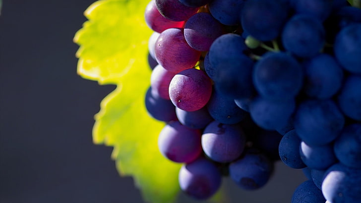 bunch of grapes, depth of field, grapes, fruit, plants, HD wallpaper