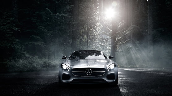 сребърен автомобил Mercedes-Benz, mercedes benz, mercedes-amg, изглед отпред, сребърен, дърво, HD тапет HD wallpaper