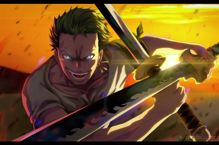 One Piece, Roronoa Zoro, katana, green hair, HD wallpaper