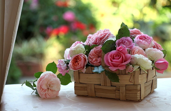 белые и розовые розы цветы, розы, бутоны, цветы, корзина, красота, HD обои