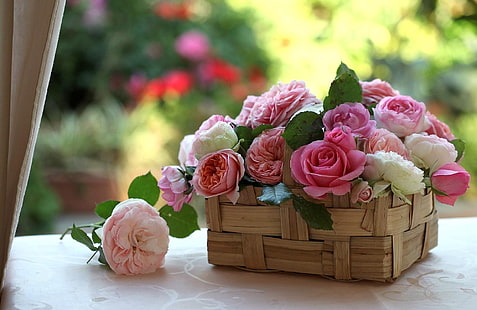 vita och rosa rosblommor, rosor, knoppar, blommor, korg, skönhet, HD tapet HD wallpaper