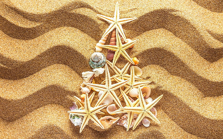 ビーチ、砂浜、貝殻、ヒトデ、クリスマスツリー、ヒトデと貝殻の三角形の装飾、ビーチ、砂浜、貝殻、ヒトデ、クリスマス、ツリー、 HDデスクトップの壁紙