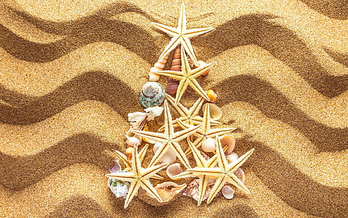 Strand, sand, snäckskal, sjöstjärna, julgran, sjöstjärna och snäckskal triangulär dekor, Strand, sand, snäckskal, sjöstjärna, jul, träd, HD tapet HD wallpaper