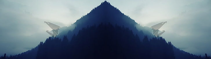silhouette of mountains, Aorus, landscape, forest, eagle, simple, dual monitors, HD wallpaper