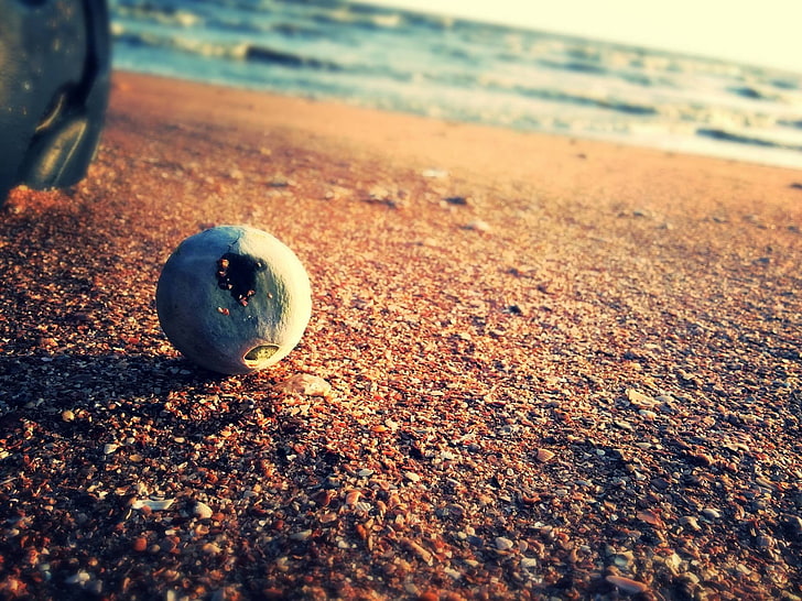 round green fruit, white ball on beach sand, sea, tilt shift, blurred, waves, HD wallpaper
