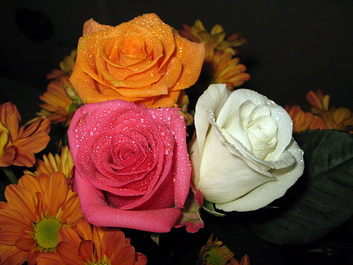 rosas cor de rosa, laranja e brancas, rosas, gerbera, flor, buquê, gota, frescura, HD papel de parede