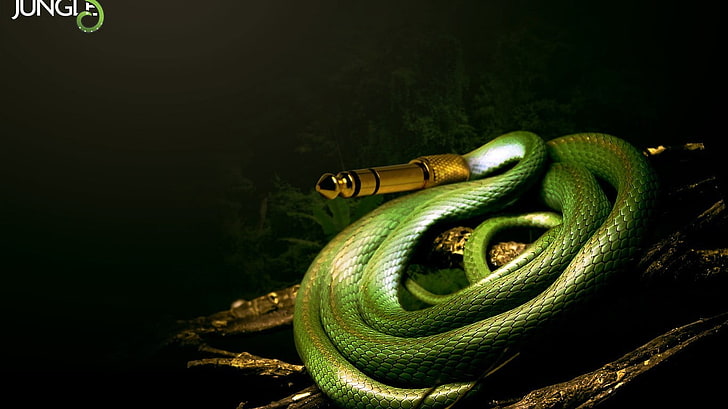 green Jungle AUX cable, sound, mixing consoles, techno, consoles, humor, snake, HD wallpaper