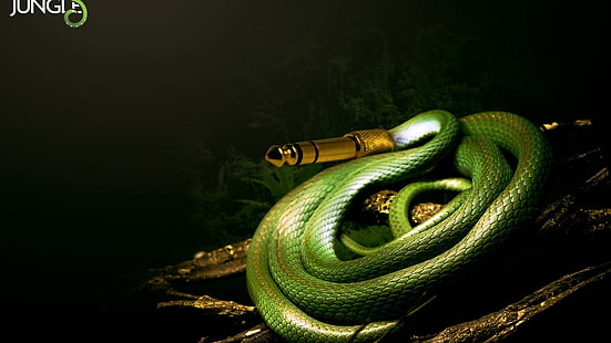green Jungle AUX cable, sound, mixing consoles, techno, consoles, humor, snake, HD wallpaper HD wallpaper