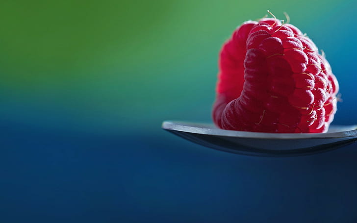 makro, raspberry, sendok, latar belakang sederhana, Wallpaper HD
