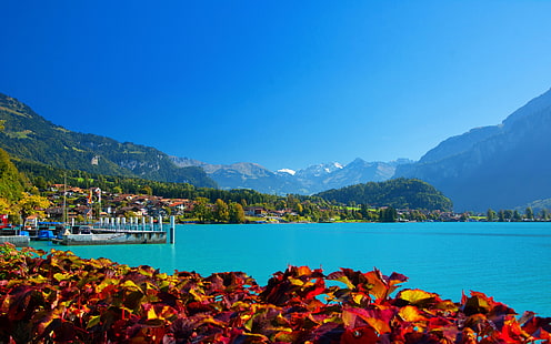 สวิตเซอร์แลนด์ทิวทัศน์ทะเลสาบภูเขา Brienz ธรรมชาติ 413501, วอลล์เปเปอร์ HD HD wallpaper