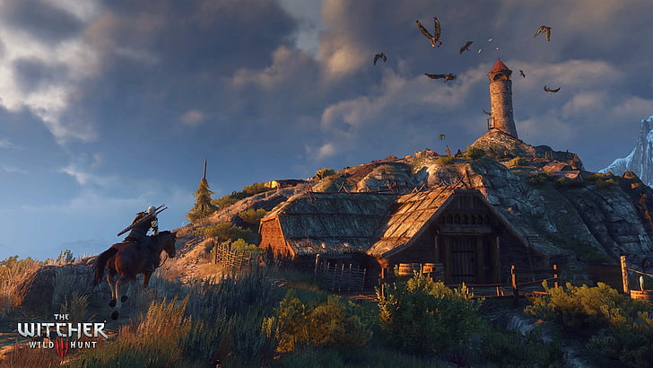 Pferd, Leuchtturm, Insel, Hütte, The Witcher, Harpyien, Geralt, The Witcher 3: Wilde Jagd, Plötze, Ard Skellig, HD-Hintergrundbild