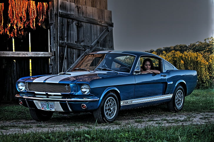 1966, Ford Mustang, Shelby, GT350, Muscle car, blue ford mustang, Cars s HD, s, hd backgrounds, cars, HD wallpaper