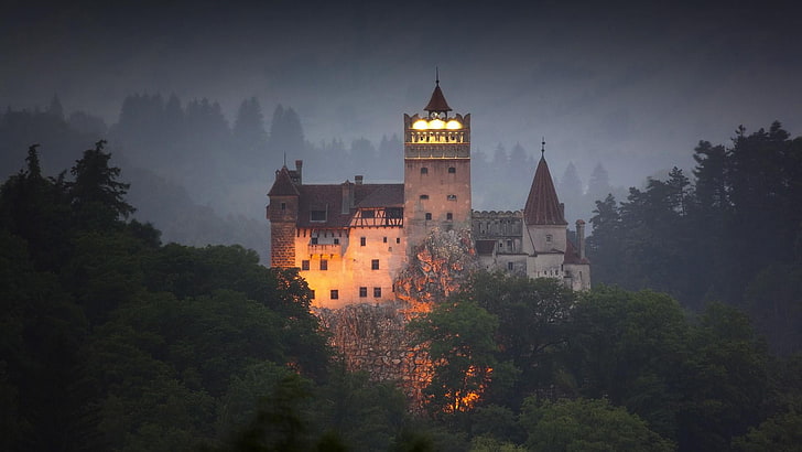 замок, здание, история, архитектура, исторический, лес, замок отрубей, брашов, румыния, европа, HD обои