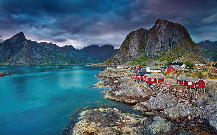 Gambar Musim Panas Lofoten Norwegia Untuk Wallpaper Desktop 2560 × 1600, Wallpaper HD
