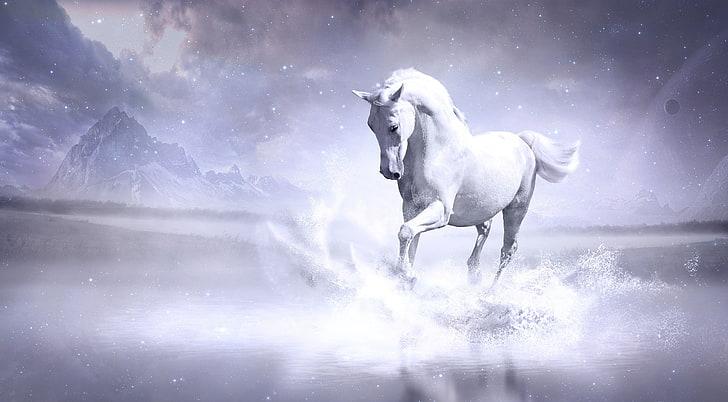 Pure, weißes Pferd, Tiere, Pferde, Pure, HD-Hintergrundbild