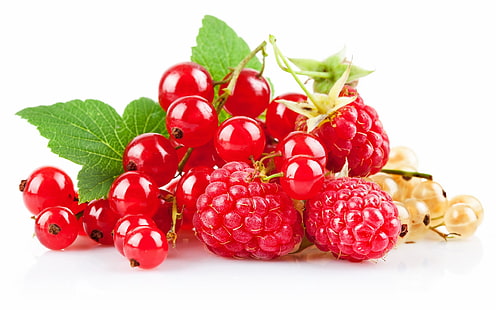 red raspberries, raspberries, currants, berries, ripe, HD wallpaper HD wallpaper