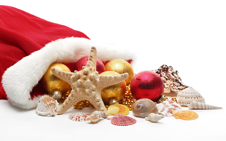 poisson étoile brune, Noël, nouvel an, décorations, chapeaux de Père Noël, coquillages, étoiles de mer, décorations de Noël, Fond d'écran HD