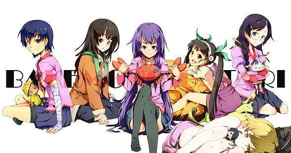 Seria Monogatari, anime dziewczyny, Senjougahara Hitagi, Hanekawa Tsubasa, Kanbaru Suruga, Hachikuji Mayoi, Sengoku Nadeko, Oshino Shinobu, Tapety HD HD wallpaper