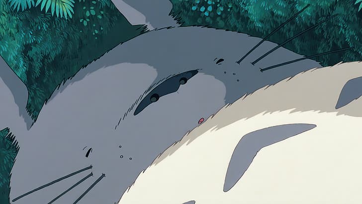 Mój sąsiad Totoro, filmy animowane, fotosy filmowe, anime, animacja, Studio Ghibli, Hayao Miyazaki, Totoro, Tapety HD