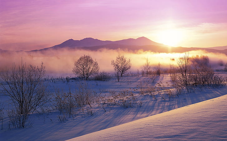 Snowy Dawn HD, nature, landscape, dawn, snowy, HD wallpaper
