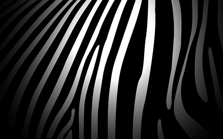 weißer und schwarzer Zebradruck, Zebras, Muster, HD-Hintergrundbild