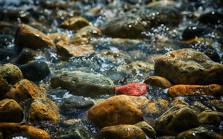 Makro, Natur, Wasser, Steine, HD-Hintergrundbild