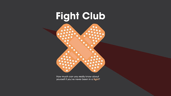 photo of Fight Club icon, movies, Fight Club, artwork, HD wallpaper