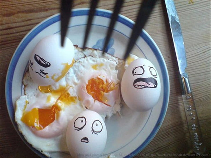 three white eggs, humor, food, eggs, HD wallpaper