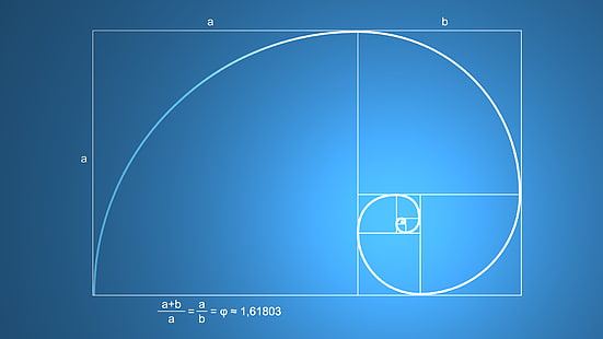наука картина золотое сечение математика минимализм последовательность Фибоначчи, HD обои HD wallpaper