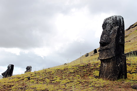 Moai, rano raraku, Easter Island, sculpture, HD wallpaper HD wallpaper