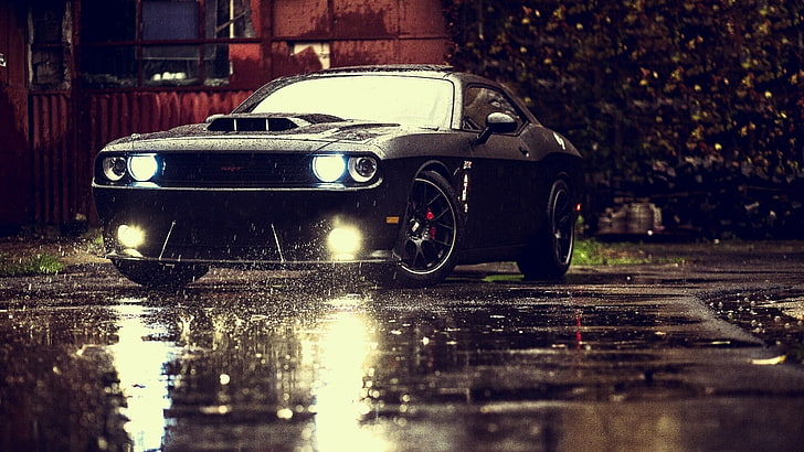 Dodge Challenger noir sur sol mouillé pendant la journée, voiture, véhicule, Fond d'écran HD