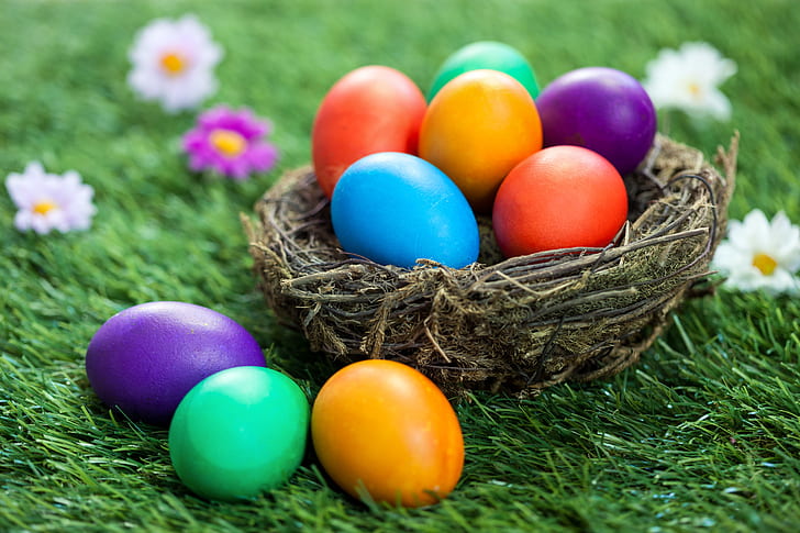 rumput, bunga, keranjang, Paskah, musim semi, telur, dekorasi, Selamat, telur yang dicat, Wallpaper HD