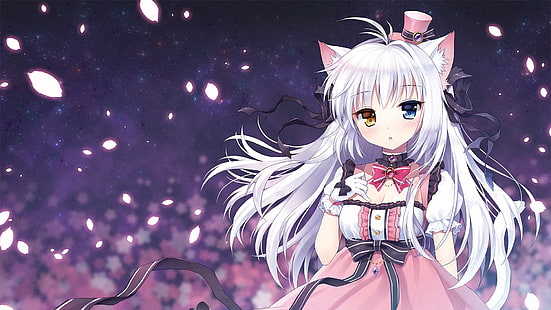 weiße behaarte Mädchenillustration, Anime, Anime-Mädchen, Katzenmädchen, Heterochromie, nekomimi, ursprüngliche Charaktere, Handschuhe, weißes Haar, HD-Hintergrundbild HD wallpaper