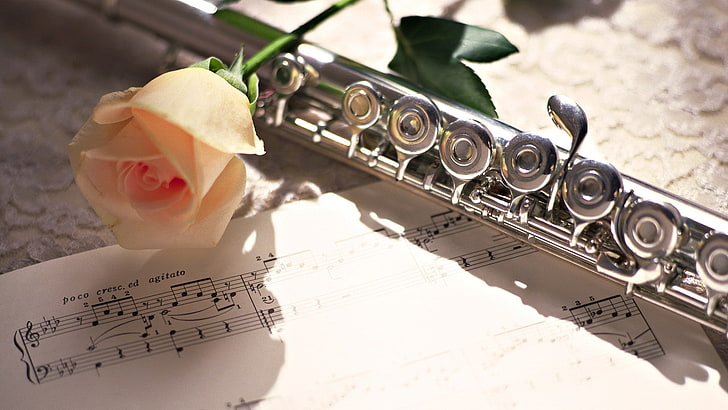 музика цветя инструменти флейта рози роза роза музикални ноти 1920x1080 Развлечения Музика HD Изкуство, Музика, Цветя, HD тапет