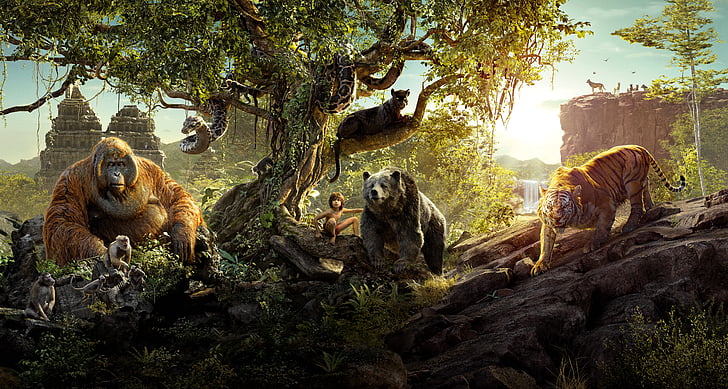Jungle book movie scene, Jungle Book, Mowgli, Shere Khan, Bagheera, King Louie, HD wallpaper