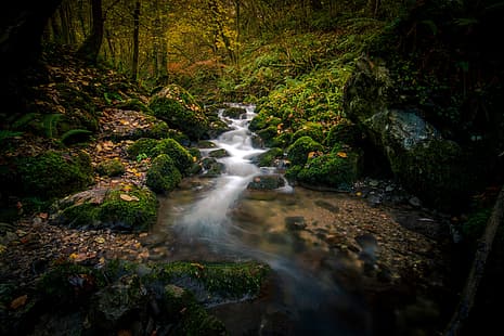 autunno, foresta, ruscello, pietre, muschio, fiume, Spagna, Asturie, Sfondo HD HD wallpaper