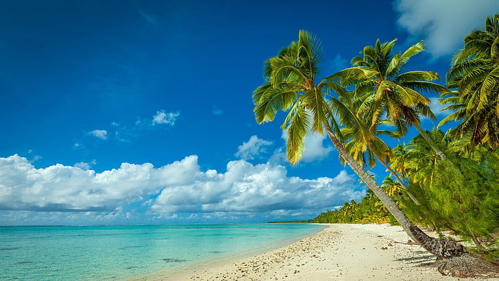 natureza, paisagem, praia, mar, ilha, palmeiras, nuvens, branco, areia, verão, HD papel de parede