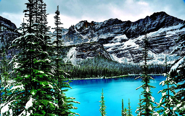 Parc national du Canada Yoho, arbre, parc, montagnes rocheuses, eau, nature et paysages, Fond d'écran HD