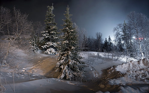 заснеженные ели, ночь, пейзаж, деревья, снег, лед, зима, HD обои HD wallpaper