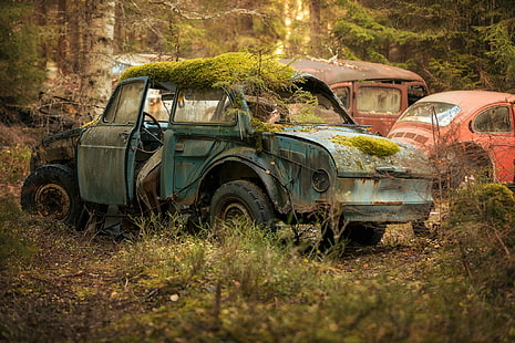 car, wreck, moss, vehicle, HD wallpaper HD wallpaper