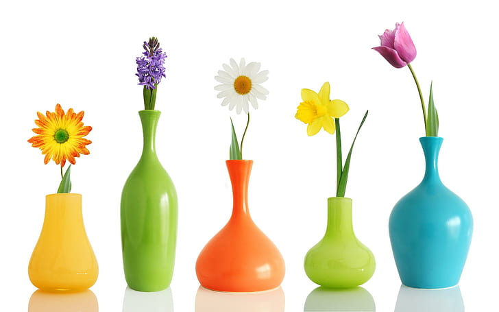 Vases de fleurs colorées, fleur, nature, colorés, fleurs, vases, Fond d'écran HD