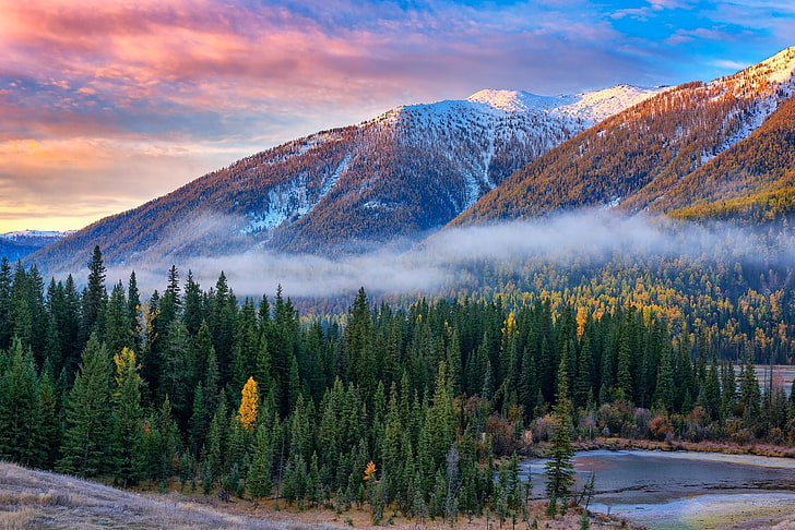 natur, landschaft, berge, wald, fall, fluss, nebel, schnee, bäume, HD-Hintergrundbild