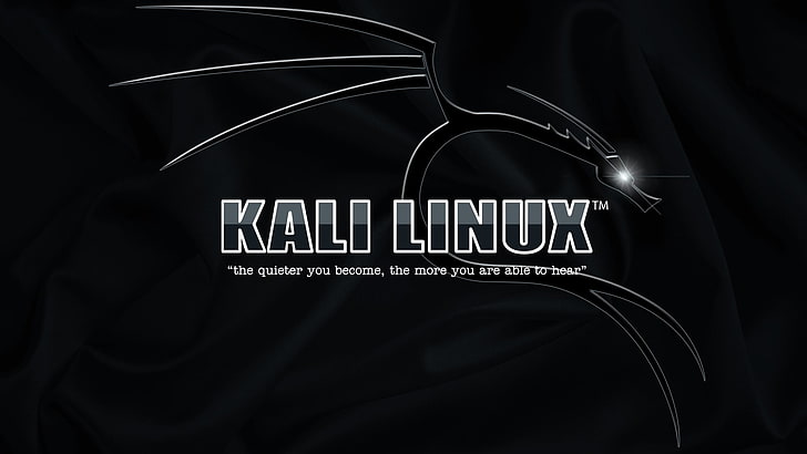 Kali Linux-Logo, Kali Linux, HD-Hintergrundbild
