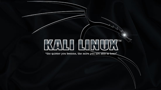 Logo Kali Linux, Kali Linux, Fond d'écran HD HD wallpaper