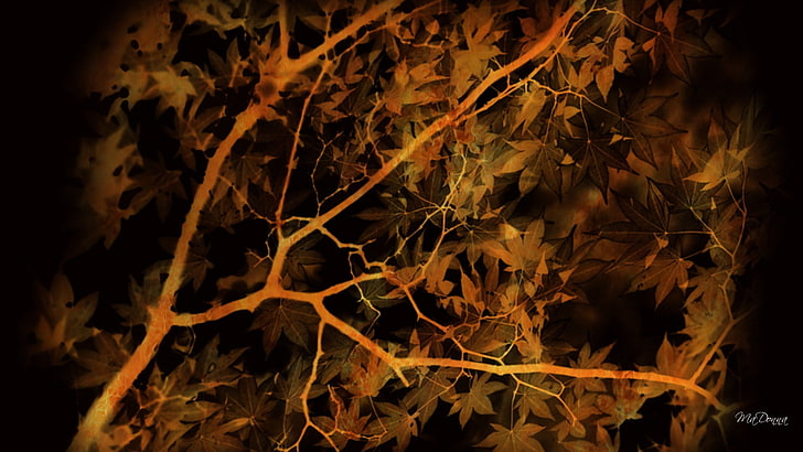 коричневый клен, листья, деревья, осень, аннотация, HD обои