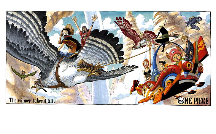 Einteiliges Plakat, einteilig, Anime, Affe D. Ruffy, Lysop, Roronoa Zoro, Nami, Nico Robin, Tony Tony Chopper, Sanji, HD-Hintergrundbild