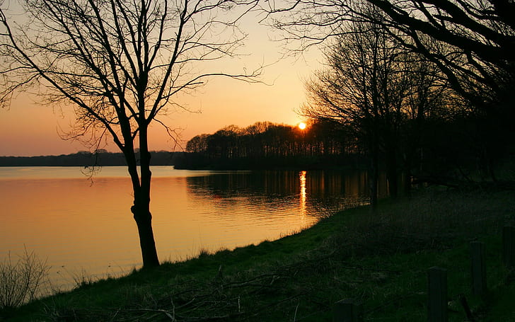 landscape, sunset, lake, trees, dappled sunlight, HD wallpaper