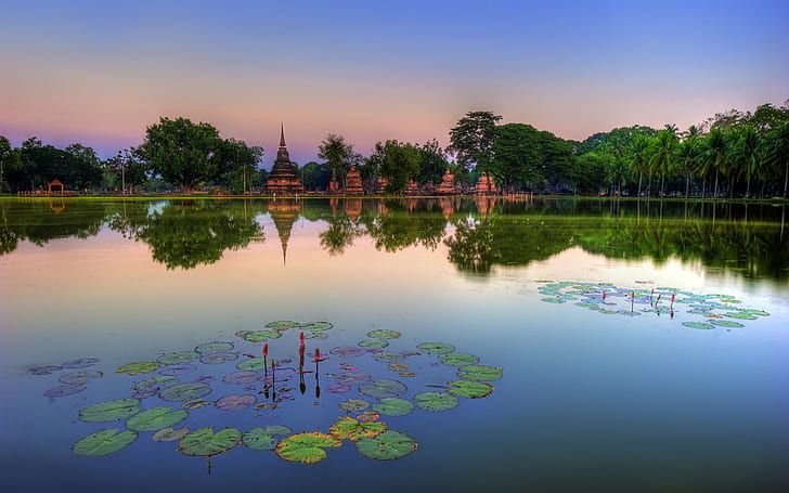 Sukhothai Historical Park Thail, water lilies, park, thailand, sukhothai, historical, HD wallpaper