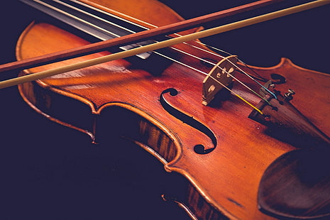 Violine, HD-Hintergrundbild HD wallpaper