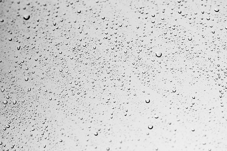 drop of water, droplets, drops, gray, moist, raindrops, water, wet, HD wallpaper